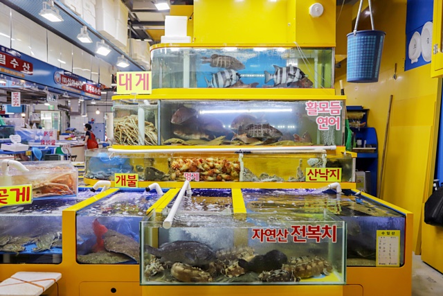 가락시장 명가수산 킹크랩 