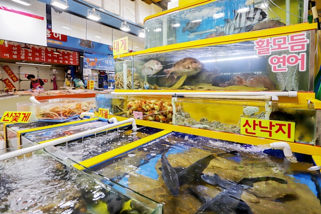 가락시장 명가수산 킹크랩 