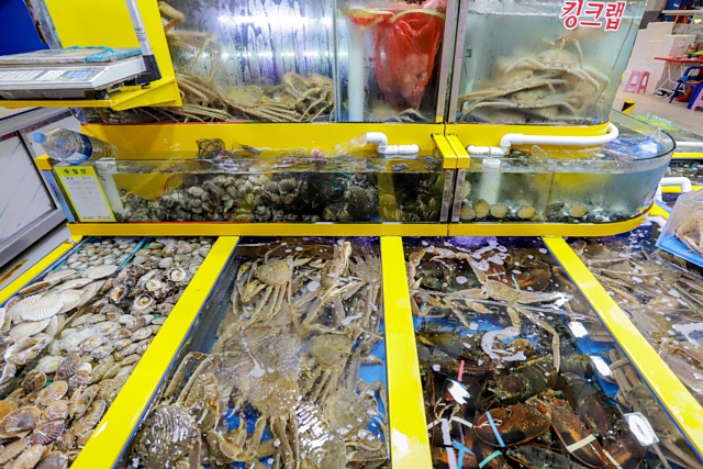 가락시장 명가수산 킹크랩 